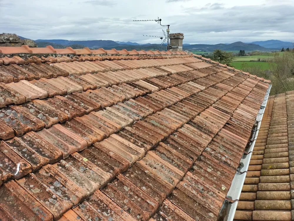 Démoussage de toiture à Valence