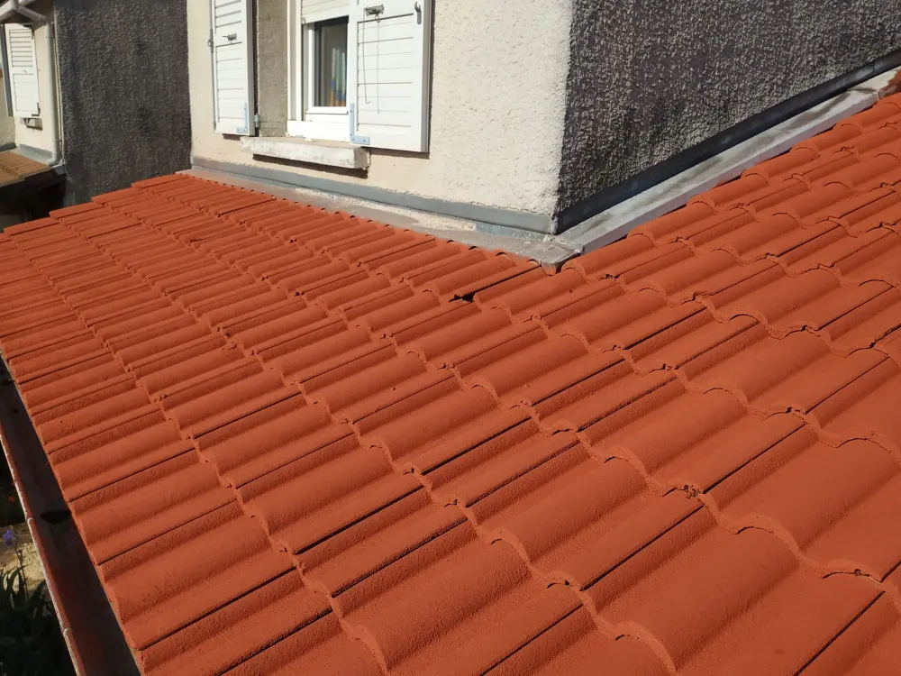 Traitement toiture à Valence