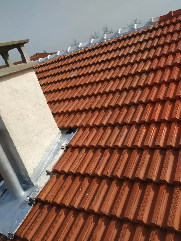 Nettoyage toiture à Valence